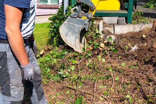 Hedge Removal Service in Santa Cruz