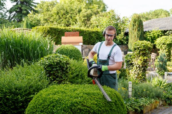Shrubs Trimming in Santa Cruz