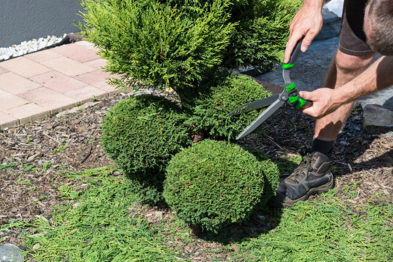 Trimmed Shrubs in a Garden Bed