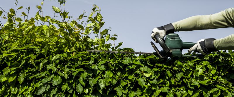 Shrub Trimming Equipment in Action