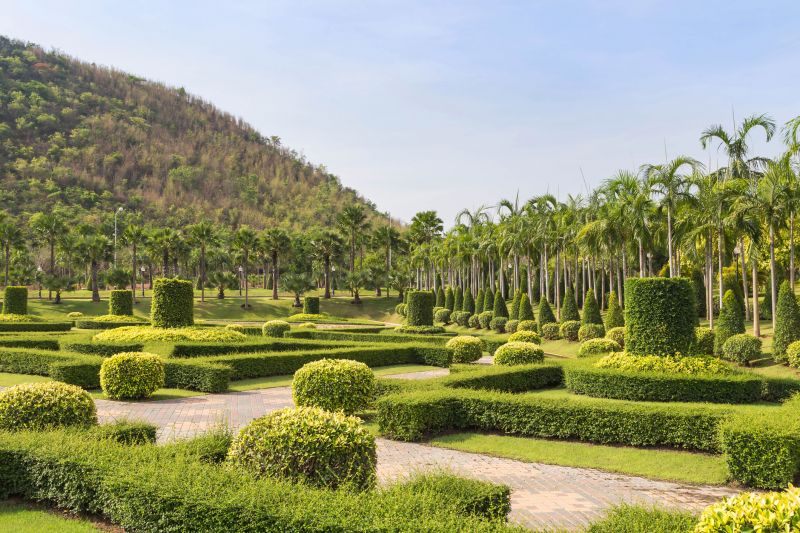 Neatly Trimmed Shrubs
